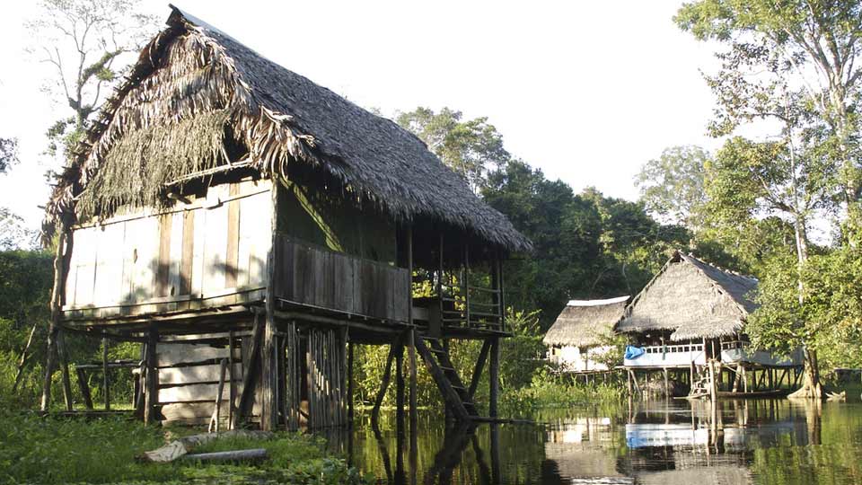 amazon jungle in luxury cruise