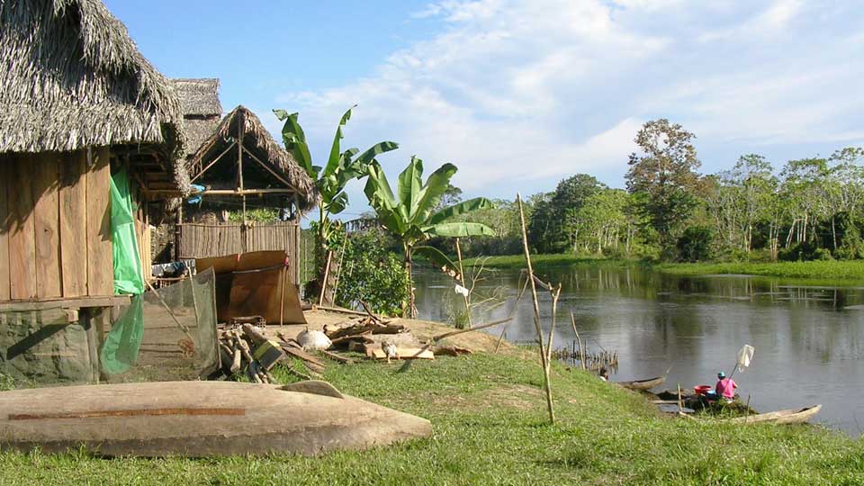 travel to iquitos peru amazon jungle