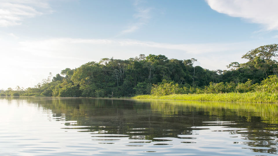 amazon river in iquitos, tambopata national reserve