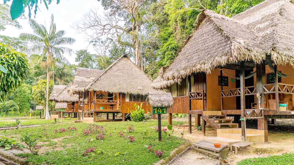 luxury accommodation and weather in the tambopata national reserve