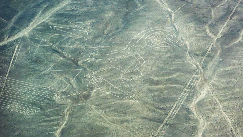 what are the nazca lines monkey