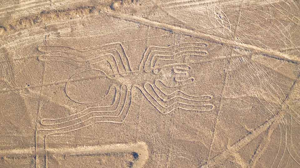 what are the nazca lines spider