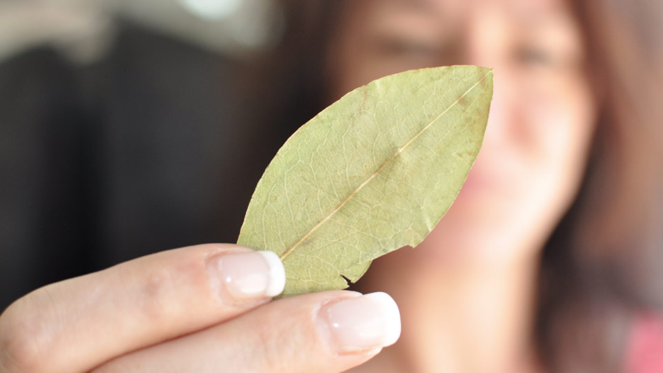 coca for altitude sickness coca leaf