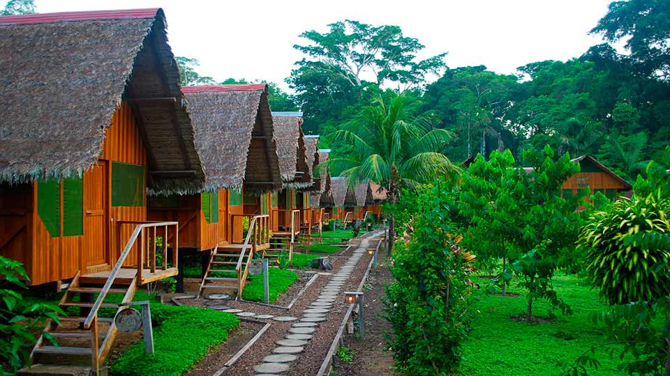 eco friendly resorts eco amazonia lodge