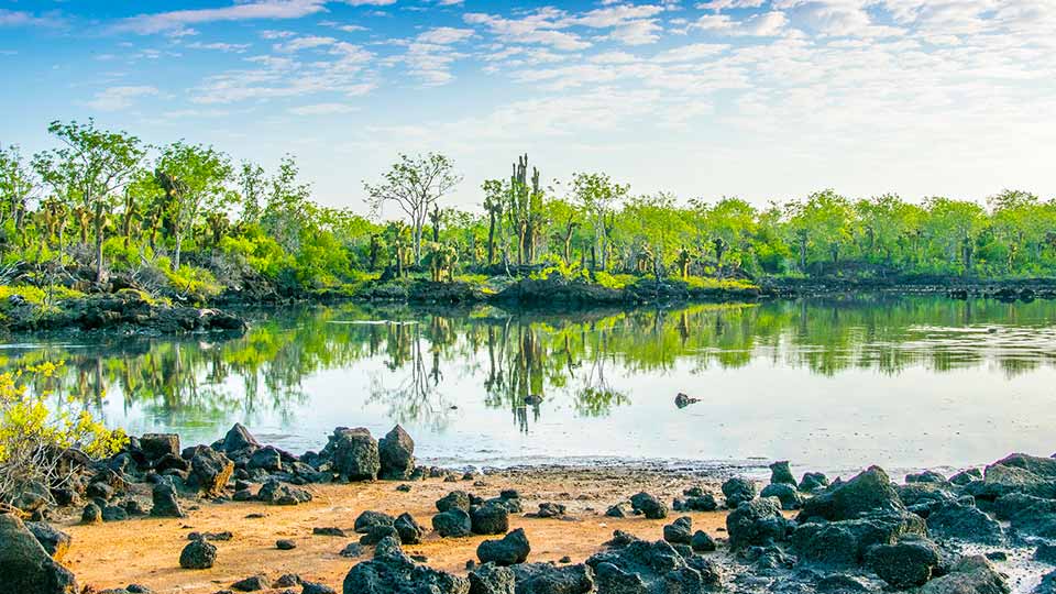galapagos and machu picchu tours when to goo