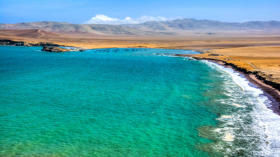 tour in paracas national reserve