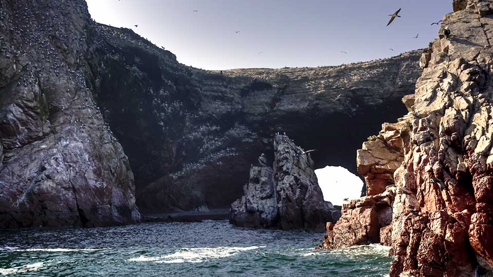what are the ballestas islands 