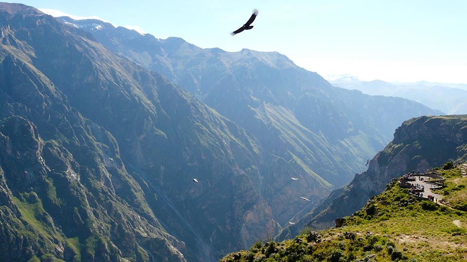 colca full-day tour valley and canyon