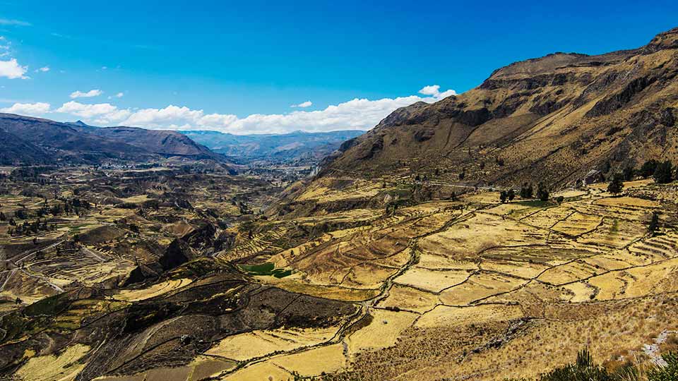 colca full-day tour what to expect