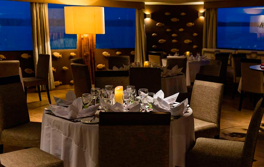 Amazon discovery cruise dinner