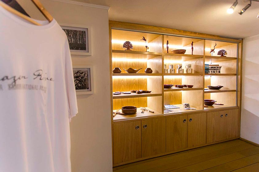 amazon discovery cruise products