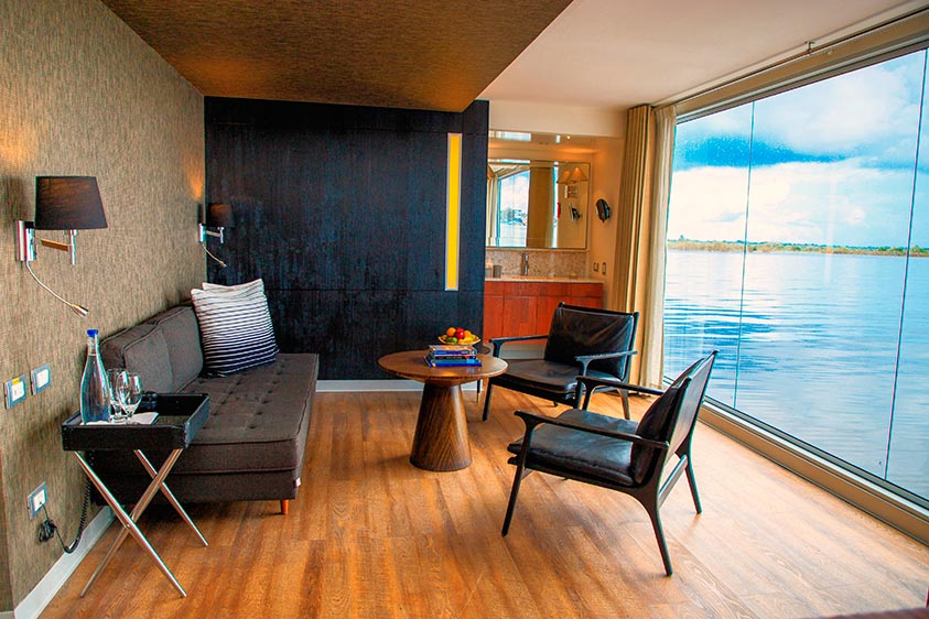 aria amazon criuse living room