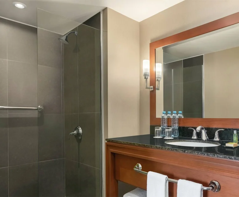 El Pardo Lima DoubleTree by Hilton